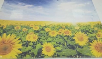 Печать на баннерной сетке в СПБ